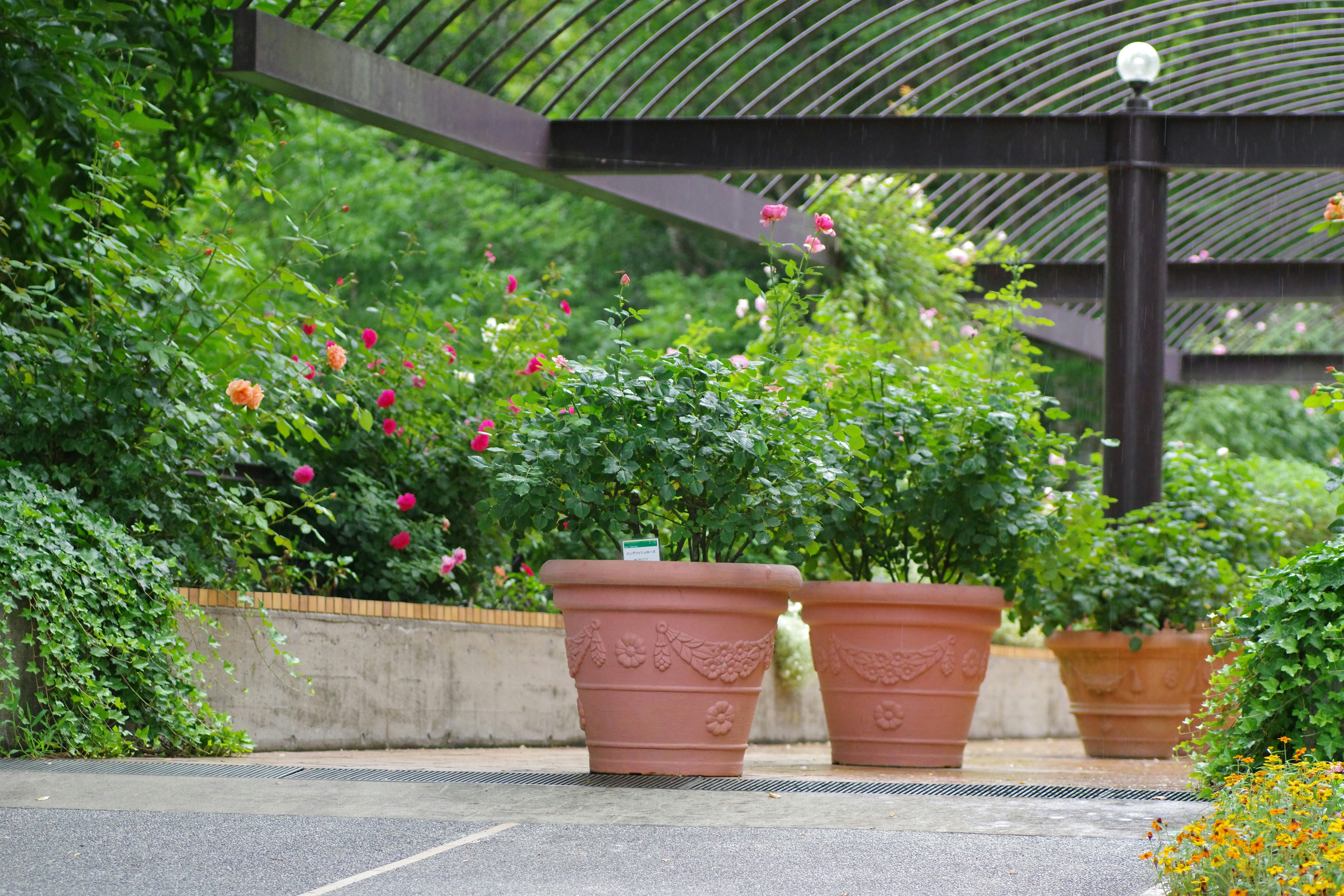Garden Installation
